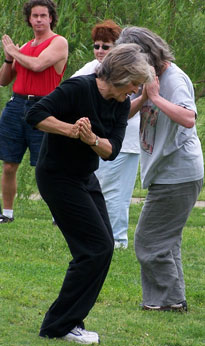 Tai Chi Day 5